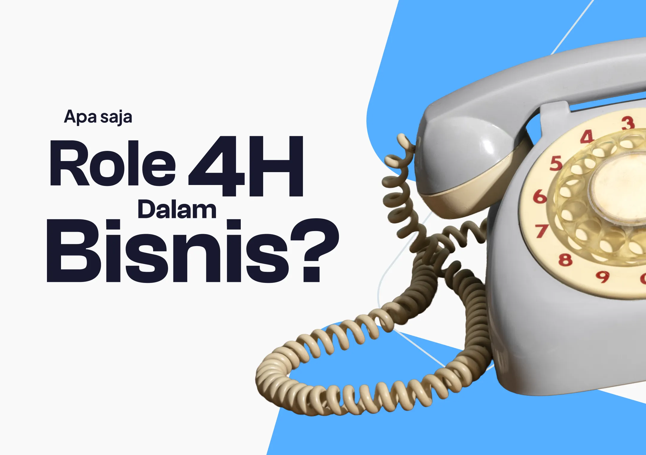 Role 4H Dalam Bisnis, Anda Termasuk Yang Mana?